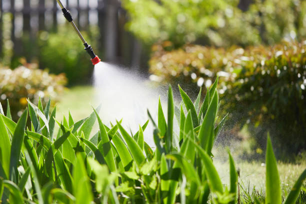 24/7 Emergency Mosquito Control experts in Dumas, AR